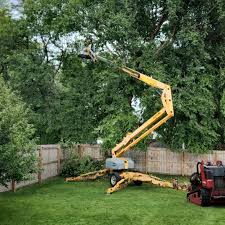 Reliable Homestead, FL  Tree Services Solutions